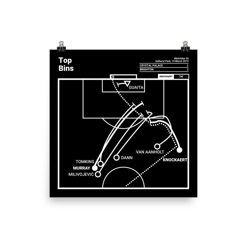Brighton & Hove Albion Greatest Goals Poster: Top Bins (2019)