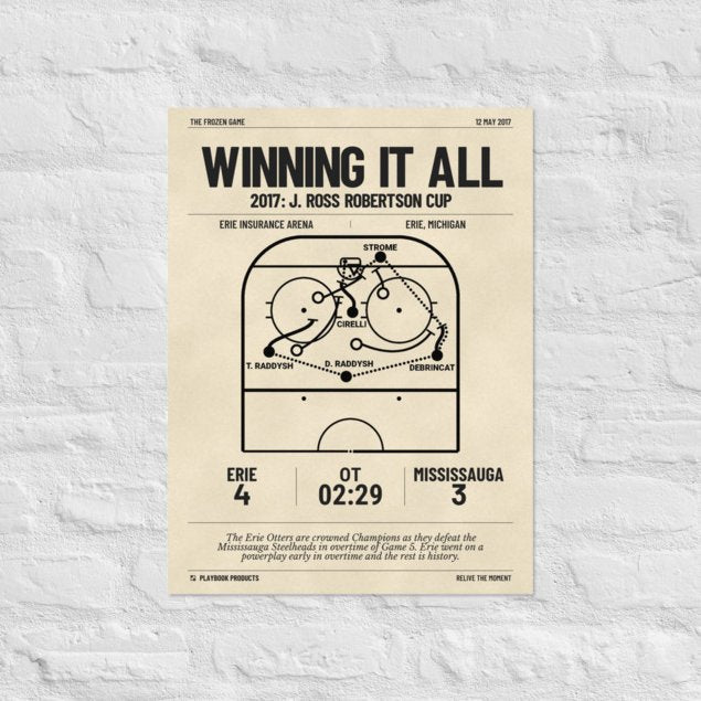 Greatest Anaheim Ducks Goals Poster: Winning it all (2017)