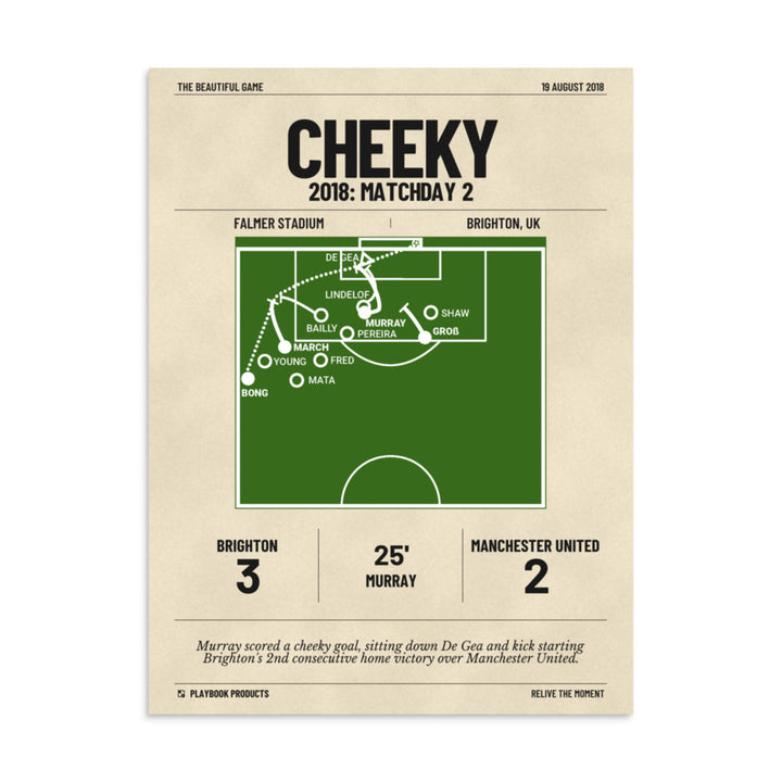 Greatest Brighton & Hove Albion Goals Poster: Cheeky (2018)