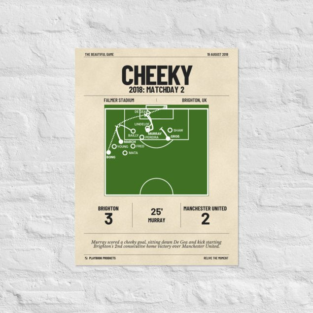 Greatest Brighton & Hove Albion Goals Poster: Cheeky (2018)