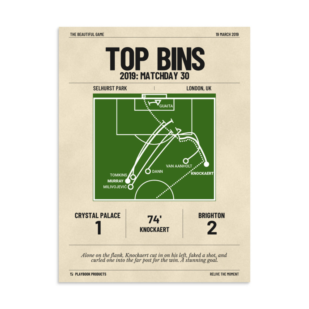 Greatest Brighton & Hove Albion Goals Poster: Top Bins (2019)
