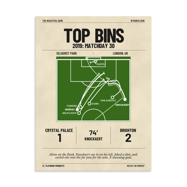 Greatest Brighton & Hove Albion Goals Poster: Top Bins (2019)