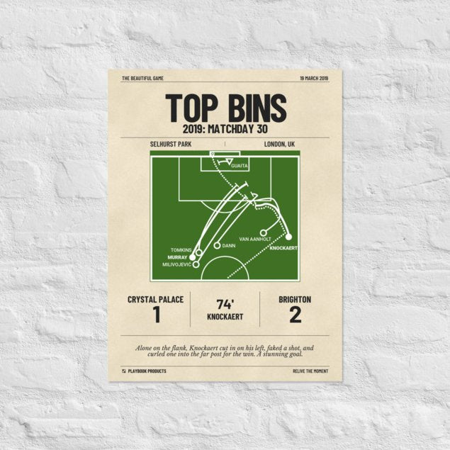 Greatest Brighton & Hove Albion Goals Poster: Top Bins (2019)