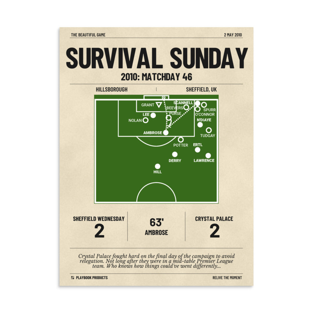 Greatest Crystal Palace Goals Poster: Survival Sunday (2010)