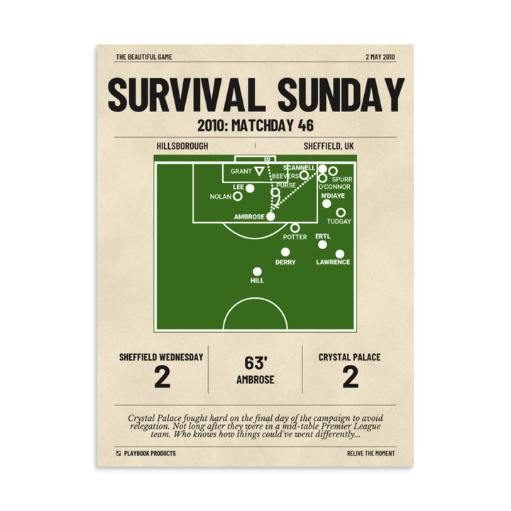 Greatest Crystal Palace Goals Poster: Survival Sunday (2010)