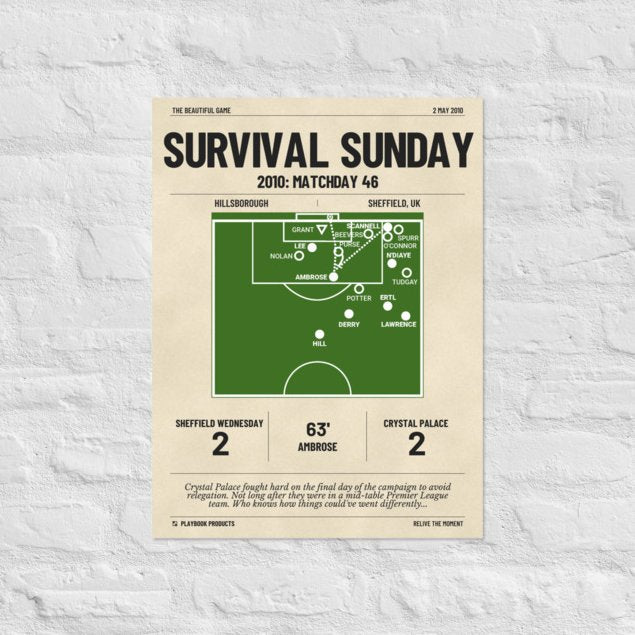 Greatest Crystal Palace Goals Poster: Survival Sunday (2010)