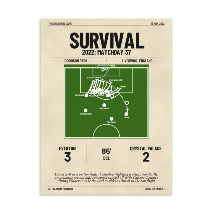 Greatest Everton Goals Poster: Survival (2022)