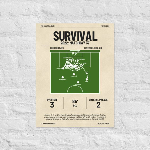 Greatest Everton Goals Poster: Survival (2022)